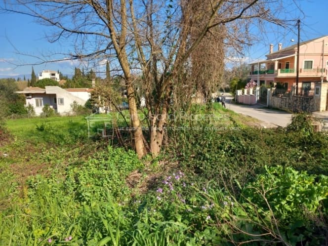 Οικόπεδο στην Παρέλι, Κέρκυρα — Φωτογραφία 7 από 11