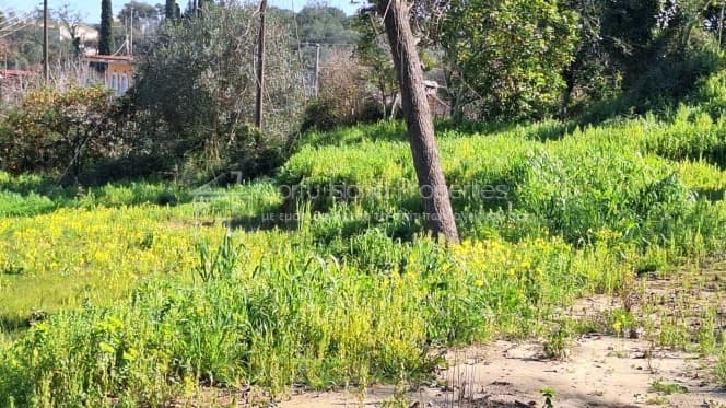 Οικόπεδο στην Αχίλλειο, Κέρκυρα — Φωτογραφία 8 από 12