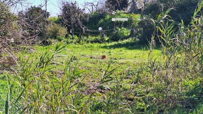 Οικόπεδο στην Αχίλλειο, Κέρκυρα — Φωτογραφία 11 από 12
