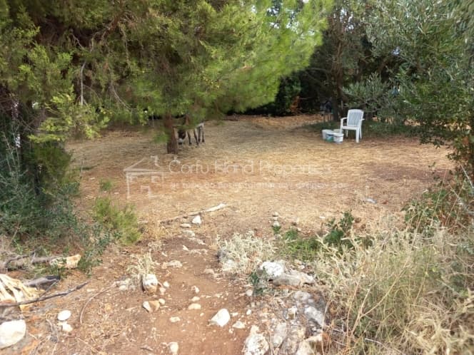 Οικόπεδο στην Άγιος Γεώργιος, Κέρκυρα — Φωτογραφία 7 από 14