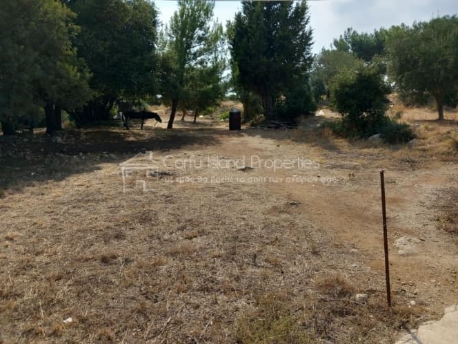 Οικόπεδο στην Άγιος Γεώργιος, Κέρκυρα — Φωτογραφία 5 από 14