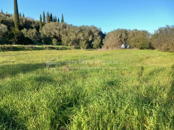 Οικόπεδο στην Άγιος Γεώργιος, Κέρκυρα — Φωτογραφία 1 από 15