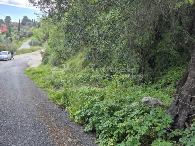 Οικόπεδο στην Παρέλι, Κέρκυρα — Φωτογραφία 9 από 13