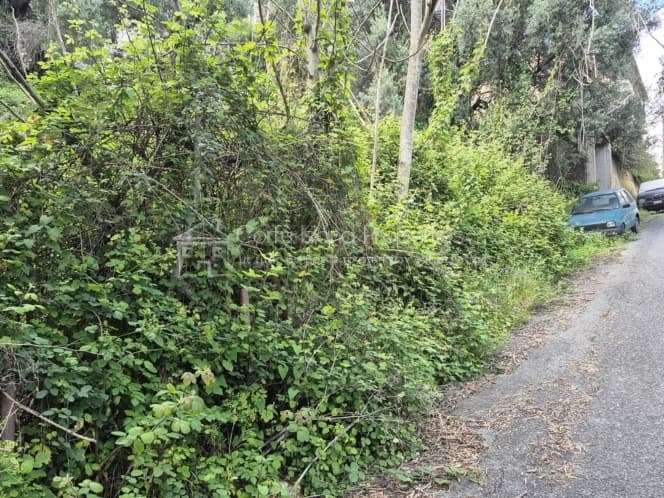 Οικόπεδο στην Παρέλι, Κέρκυρα — Φωτογραφία 11 από 13