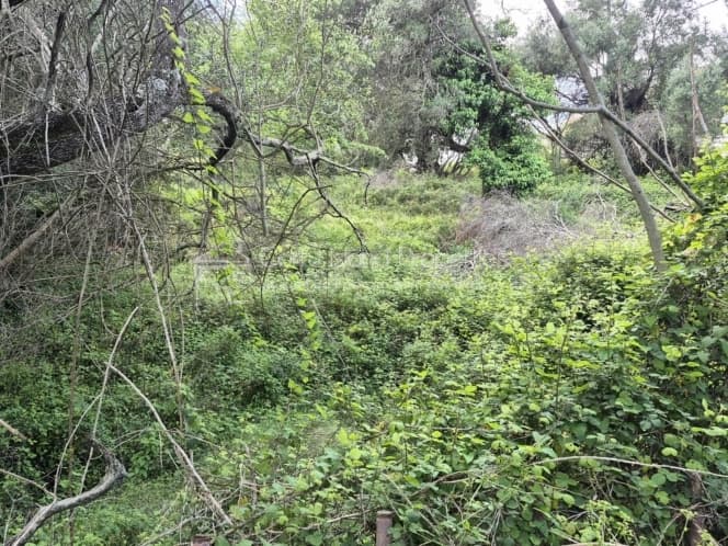 Οικόπεδο στην Παρέλι, Κέρκυρα — Φωτογραφία 7 από 13