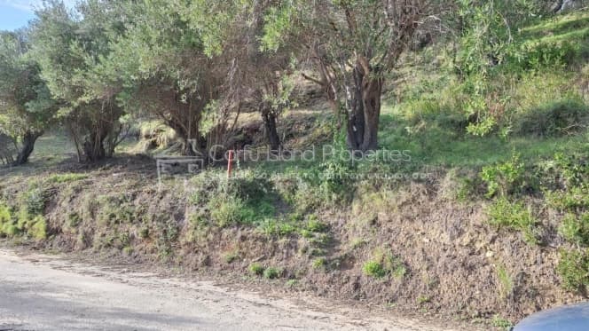 Οικόπεδο στην Μελιτειέοι, Κέρκυρα — Φωτογραφία 11 από 22