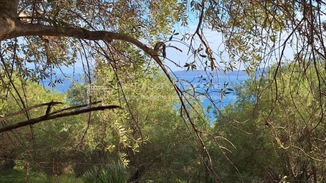 Οικόπεδο στην Μελιτειέοι, Κέρκυρα — Φωτογραφία 4 από 22
