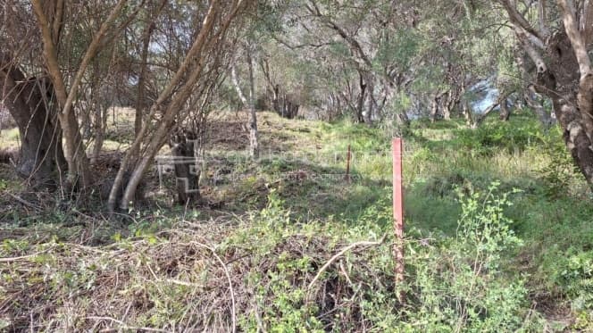 Οικόπεδο στην Μελιτειέοι, Κέρκυρα — Φωτογραφία 17 από 22