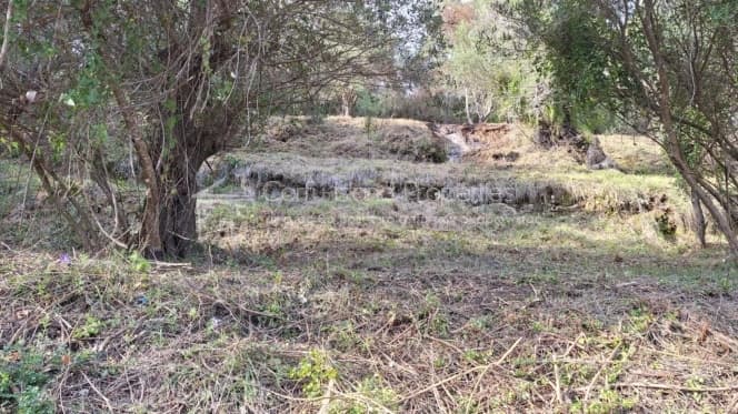 Οικόπεδο στην Μελιτειέοι, Κέρκυρα — Φωτογραφία 20 από 22