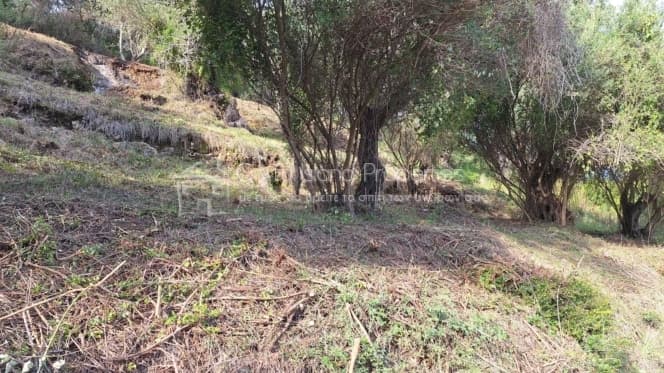 Οικόπεδο στην Μελιτειέοι, Κέρκυρα — Φωτογραφία 18 από 22