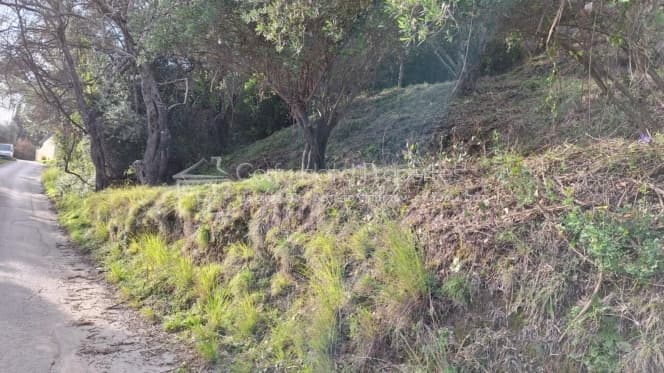 Οικόπεδο στην Μελιτειέοι, Κέρκυρα — Φωτογραφία 10 από 22