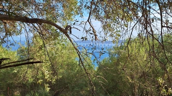 Οικόπεδο στην Μελιτειέοι, Κέρκυρα — Φωτογραφία 3 από 22