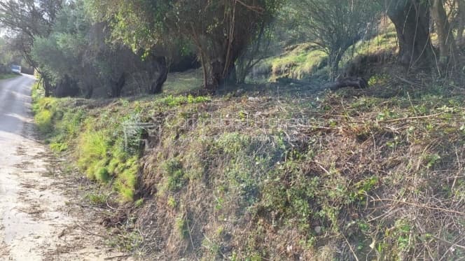 Οικόπεδο στην Μελιτειέοι, Κέρκυρα — Φωτογραφία 19 από 22
