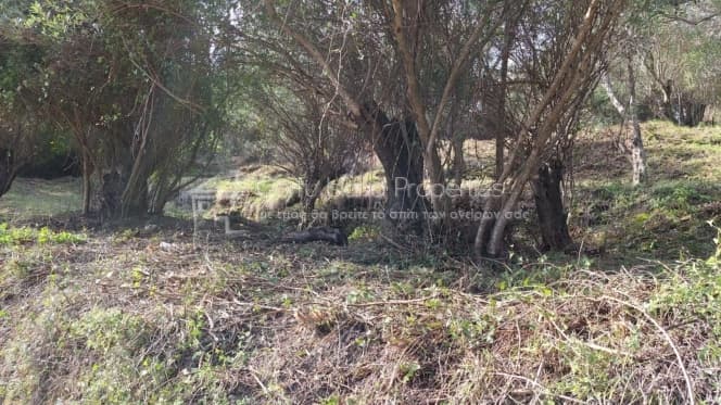 Οικόπεδο στην Μελιτειέοι, Κέρκυρα — Φωτογραφία 12 από 22