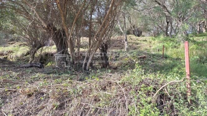 Οικόπεδο στην Μελιτειέοι, Κέρκυρα — Φωτογραφία 21 από 22