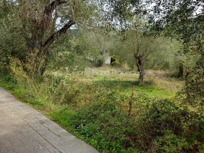 Οικόπεδο στην Παρέλι, Κέρκυρα — Φωτογραφία 3 από 14