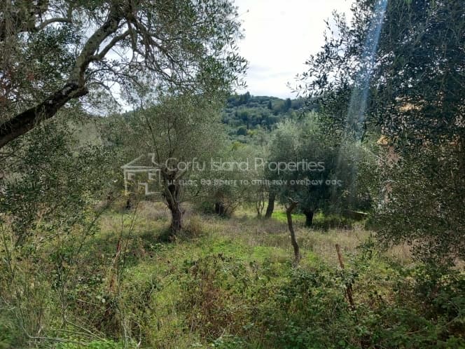 Οικόπεδο στην Παρέλι, Κέρκυρα — Φωτογραφία 10 από 14