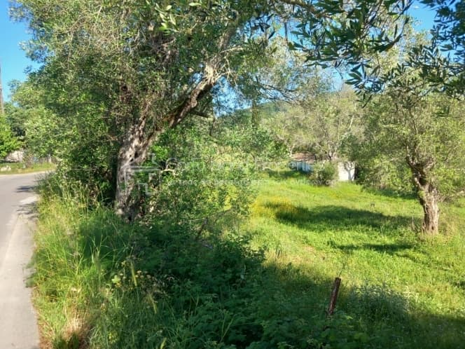 Οικόπεδο στην Παρέλι, Κέρκυρα — Φωτογραφία 1 από 14