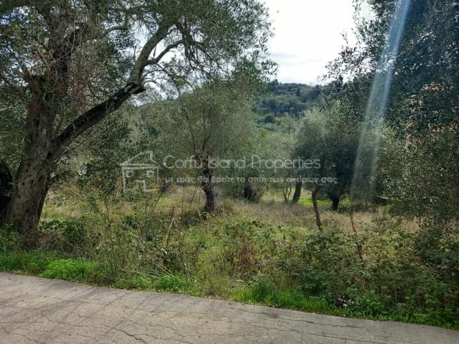 Οικόπεδο στην Παρέλι, Κέρκυρα — Φωτογραφία 7 από 14