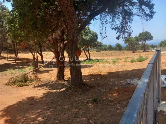 Αγροτεμάχιο στην Μελιτειέοι, Κέρκυρα — Φωτογραφία 11 από 25