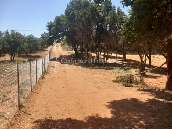 Αγροτεμάχιο στην Μελιτειέοι, Κέρκυρα — Φωτογραφία 7 από 25