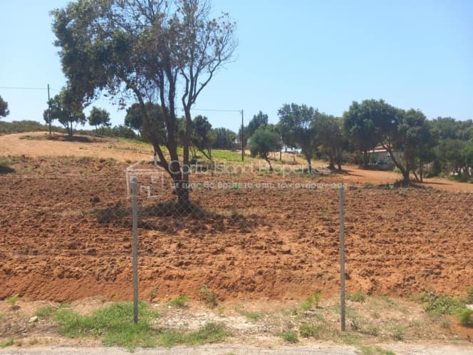 Αγροτεμάχιο στην Μελιτειέοι, Κέρκυρα — Φωτογραφία 9 από 25