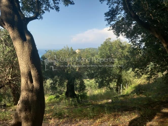 Οικόπεδο στην Άγιος Γεώργιος, Κέρκυρα — Φωτογραφία 10 από 14