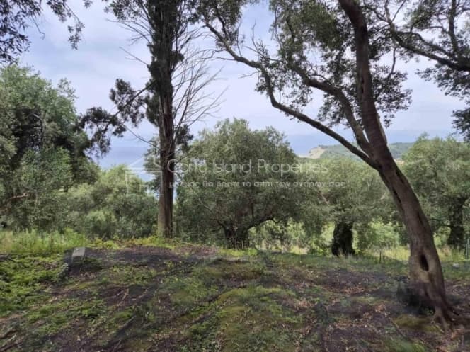 Οικόπεδο στην Άγιος Γεώργιος, Κέρκυρα — Φωτογραφία 8 από 14