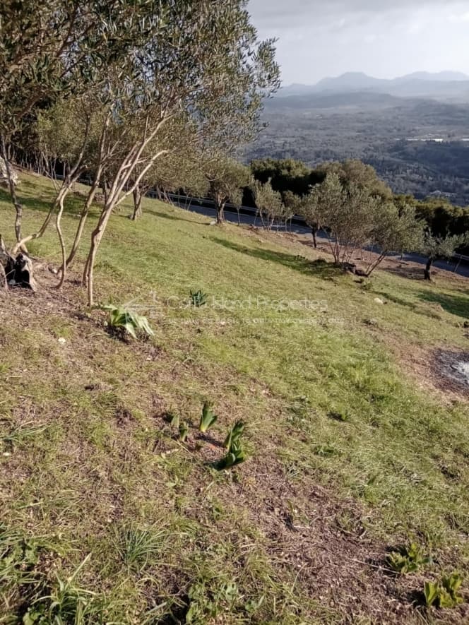 Οικόπεδο στην Άγιος Γεώργιος, Κέρκυρα — Φωτογραφία 18 από 19