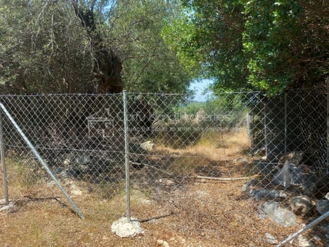 Building Plot in Kassiopi, Corfu — Photo 3 of 9
