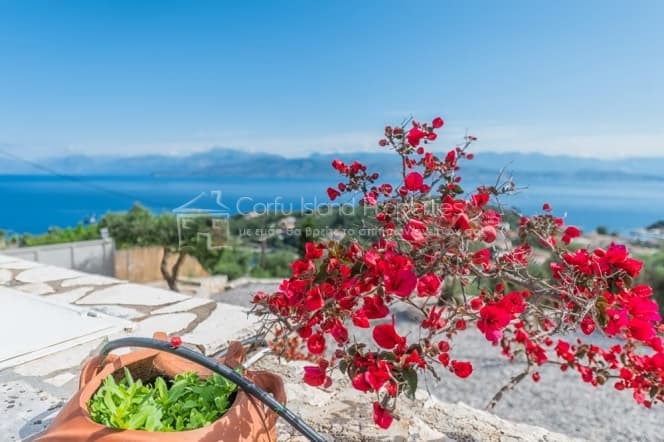 Μονοκατοικία στην Κασσιόπη, Κέρκυρα — Φωτογραφία 18 από 30