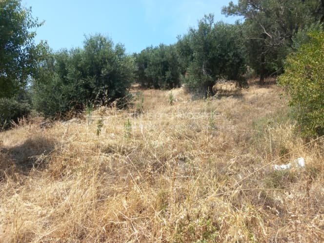 Μονοκατοικία στην Κασσιόπη, Κέρκυρα — Φωτογραφία 14 από 30