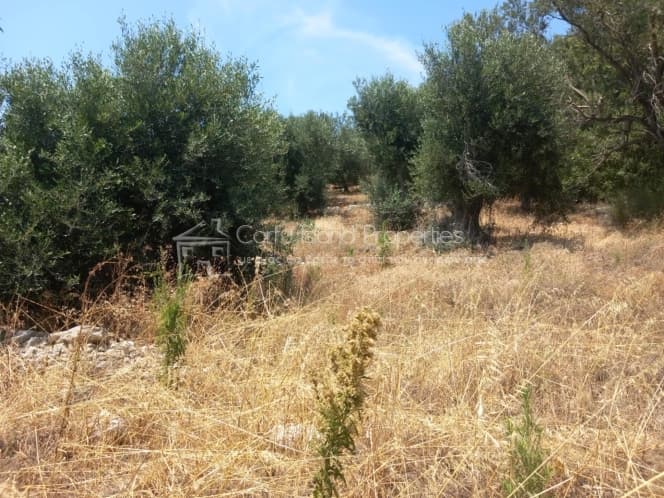 Μονοκατοικία στην Κασσιόπη, Κέρκυρα — Φωτογραφία 23 από 30