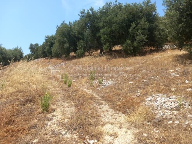 Μονοκατοικία στην Κασσιόπη, Κέρκυρα — Φωτογραφία 17 από 30