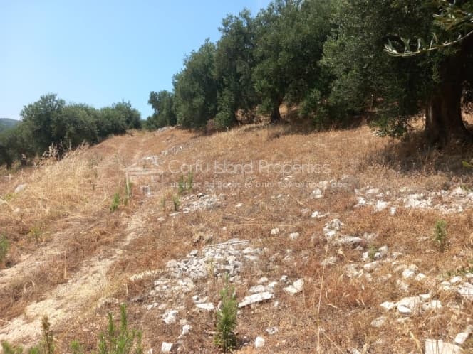Μονοκατοικία στην Κασσιόπη, Κέρκυρα — Φωτογραφία 16 από 30