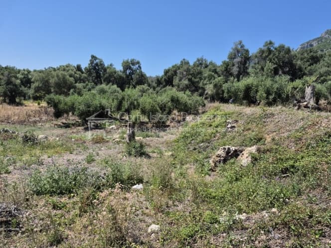 Οικόπεδο στην Μελιτειέοι, Κέρκυρα — Φωτογραφία 4 από 30