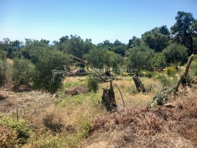 Οικόπεδο στην Μελιτειέοι, Κέρκυρα — Φωτογραφία 27 από 30