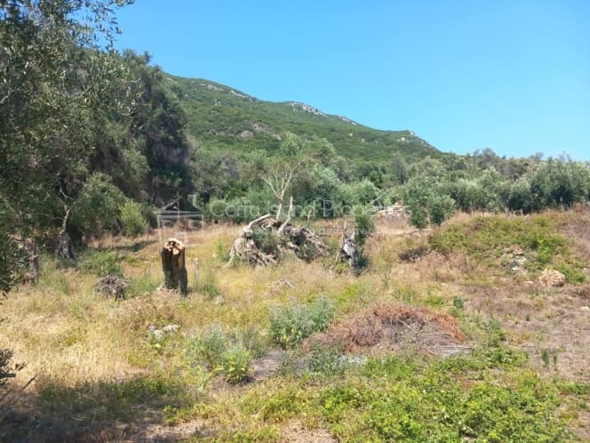 Οικόπεδο στην Μελιτειέοι, Κέρκυρα — Φωτογραφία 21 από 30