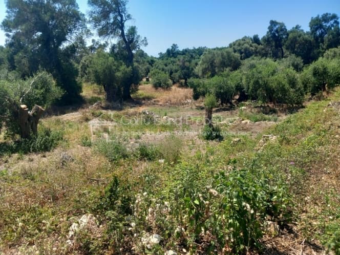 Οικόπεδο στην Μελιτειέοι, Κέρκυρα — Φωτογραφία 25 από 30