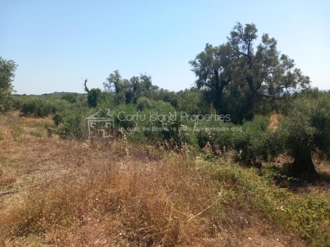 Οικόπεδο στην Μελιτειέοι, Κέρκυρα — Φωτογραφία 24 από 30