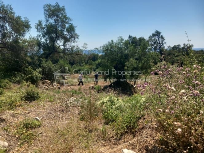 Οικόπεδο στην Μελιτειέοι, Κέρκυρα — Φωτογραφία 13 από 30