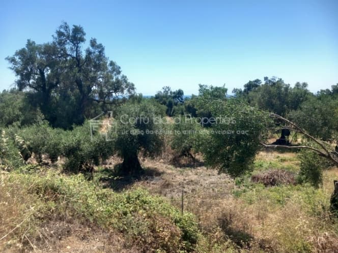 Οικόπεδο στην Μελιτειέοι, Κέρκυρα — Φωτογραφία 9 από 30
