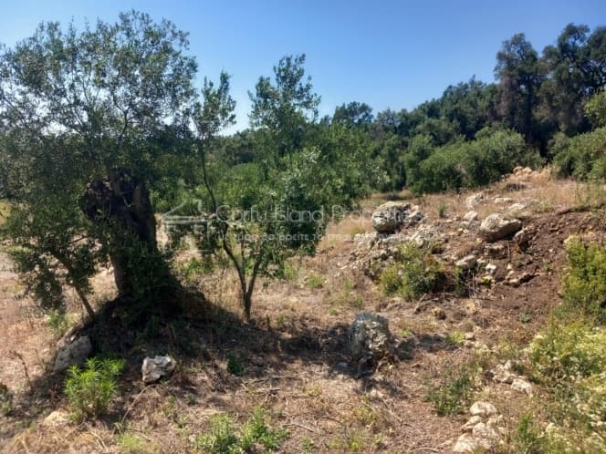 Οικόπεδο στην Μελιτειέοι, Κέρκυρα — Φωτογραφία 23 από 30