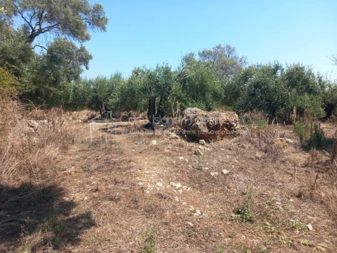 Οικόπεδο στην Μελιτειέοι, Κέρκυρα — Φωτογραφία 19 από 30