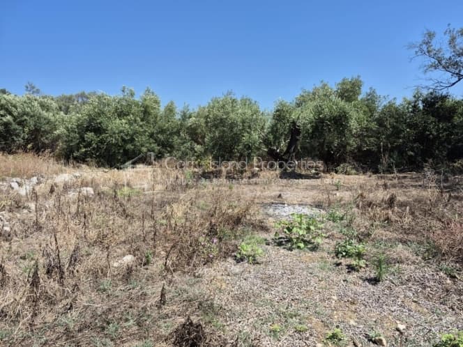 Οικόπεδο στην Μελιτειέοι, Κέρκυρα — Φωτογραφία 16 από 30