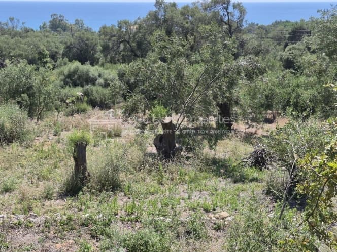 Οικόπεδο στην Μελιτειέοι, Κέρκυρα — Φωτογραφία 8 από 30