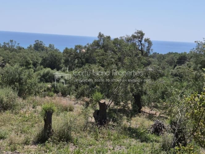 Οικόπεδο στην Μελιτειέοι, Κέρκυρα — Φωτογραφία 3 από 30