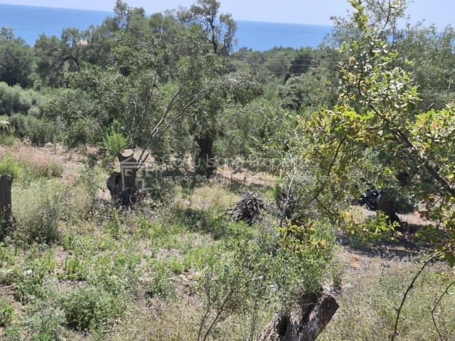 Οικόπεδο στην Μελιτειέοι, Κέρκυρα — Φωτογραφία 6 από 30