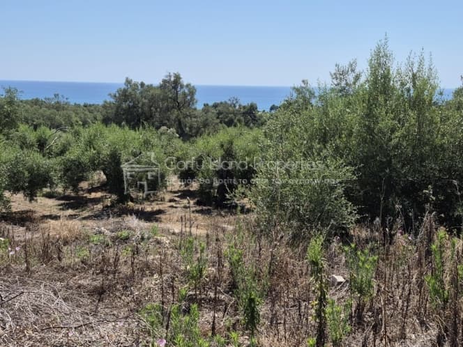 Οικόπεδο στην Μελιτειέοι, Κέρκυρα — Φωτογραφία 2 από 30