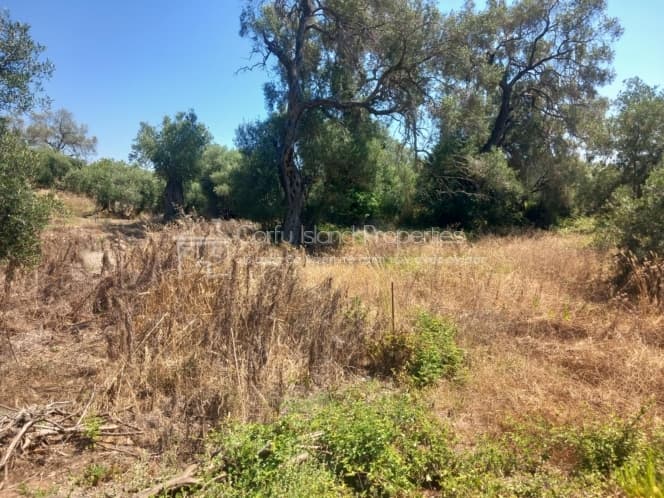 Οικόπεδο στην Μελιτειέοι, Κέρκυρα — Φωτογραφία 14 από 30